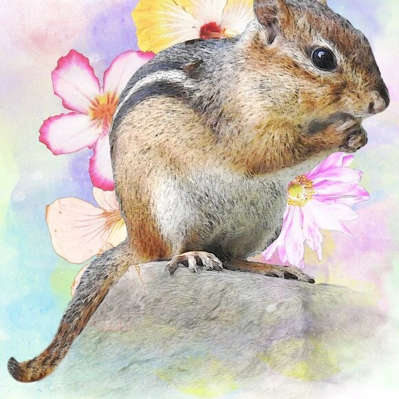 8x10 Chipmunk Eating Watercolor Illustration Art‎ Painting Print - Picture 5 of 6